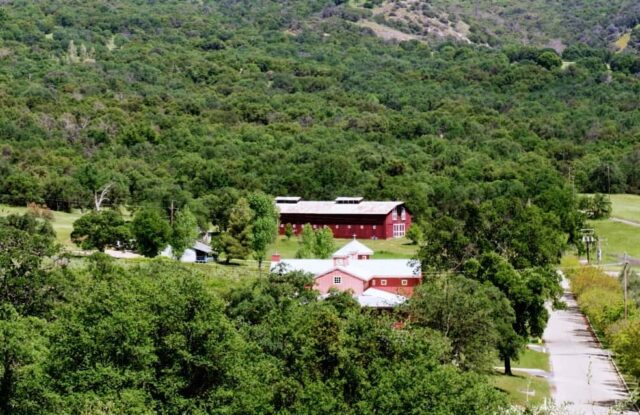 Metropolis of San Francisco Young Adult Lenten Retreat 2026