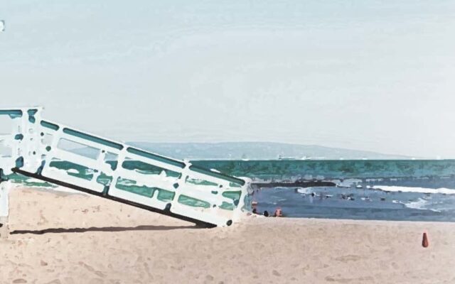 2019 Young Adult Conference