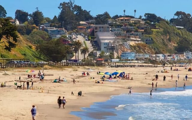 2021 Bay Area Family Beach Day Santa Cruz