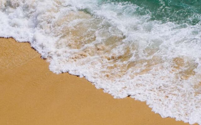 Southern California Beach Day 2024