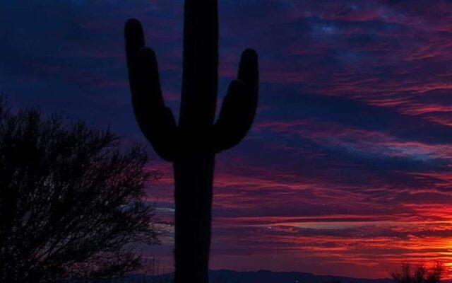 GOYA Lenten Retreat (Desert)