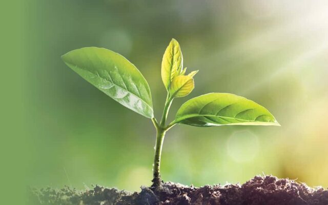 “Spread the Word”: Missions & Evangelism Conference