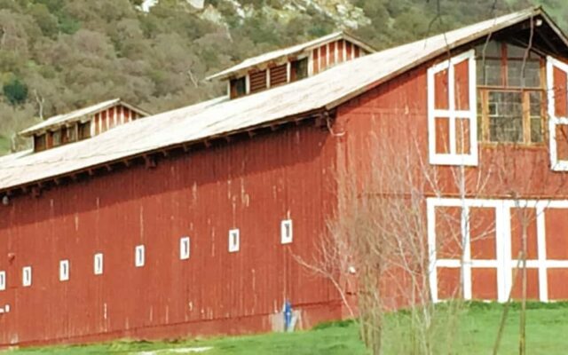 Saint Nicholas Ranch 40th Anniversary Celebration