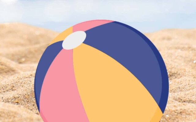 San Diego Youth and Family Beach Day 2024