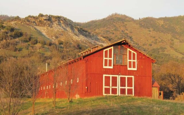 2021 Central Valley GOYA – A Day at St. Nicholas Ranch