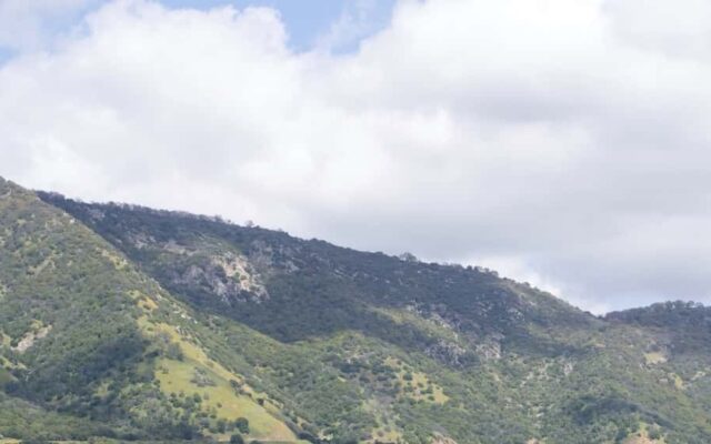 Young Adult Lenten Retreat – Rejoice Mother of the Light