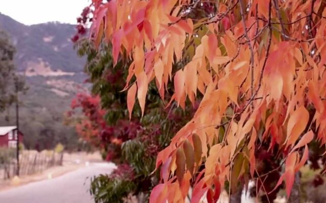 2018 Young Adult Fall Retreat